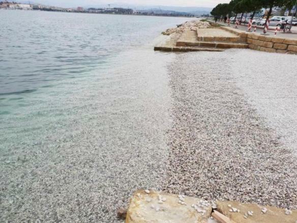 Apartmaji Ema Κόπερ Εξωτερικό φωτογραφία
